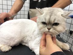 -熊小胖宠物生活馆(天华园店)