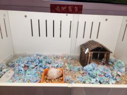 -小象动悟公园(龙湖亦庄天街店)