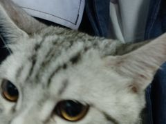 -一些柠檬一些茶(西村店)