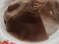 极品毛肚-晓宇重庆火锅(赛格国际购物中心店)