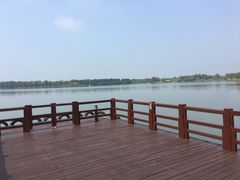 -苏州太湖国家湿地公园