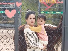 -荆州中山公园动物园