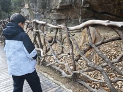 -午潮山国家森林公园