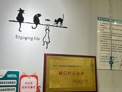 -瑞派宠物医院·中兽医专科(中央商城分院)