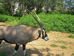 -大连森林动物园