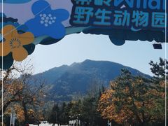 -西安秦岭野生动物园