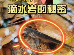 -滴水岩森林公园