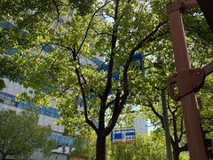 -Peet's Coffee皮爷咖啡(大学路店)