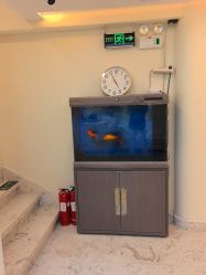 -海涛医疗美容·面部抗衰·注射美鼻