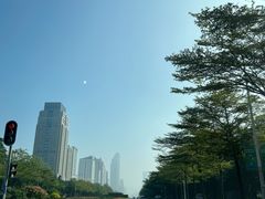 -深圳国际园林花卉博览园