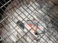 -巢爷老味(东方红店)