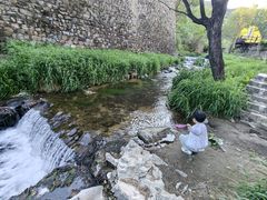 -泰莲庭·溪畔餐厅(雁栖湖店)