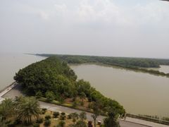 景点-大湾区中央湿地公园