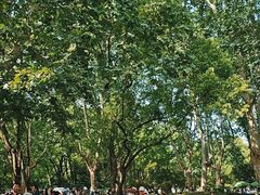 -共青国家森林公园-售票处