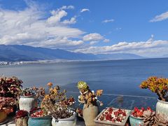 -野菌皇海景野生菌火锅(滨海大道店)