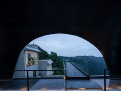 -南山植物园
