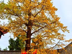 -金堂县云顶石城风景区