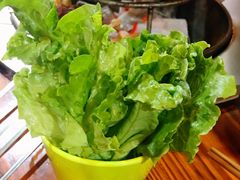 生菜-炭虎子水浒烤肉(梦时代店)