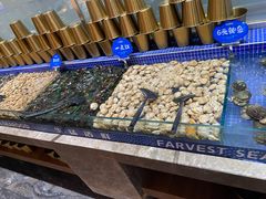 -丰卓会海鲜自助(中润大道店)