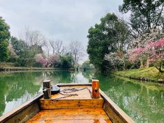 -西溪国家湿地公园