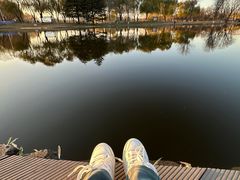 -石家庄市植物园