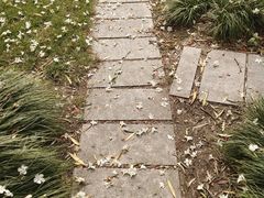 -上海外国语大学(虹口校区)