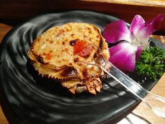 -和风食堂·日料·无界小火锅