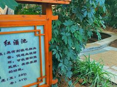 -郑州银基黄帝宫御温泉