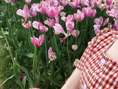 -石家庄市植物园