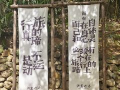 -洪崖丹井