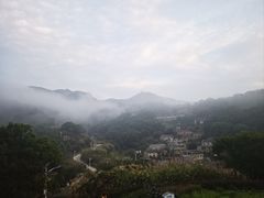 -花竹村