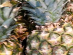 -物美超市(马家堡店)