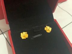 -京北大世界