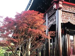 -上海皇廷花园酒店·御宴中餐厅