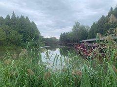 -溱湖国家湿地公园