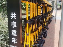 -美的鹭湖探索王国