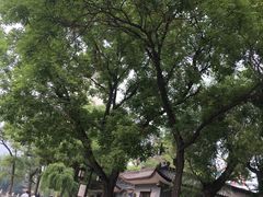 -文瀛公园