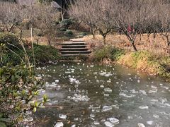-无锡梅园公园