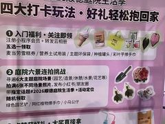 -顺峰山公园
