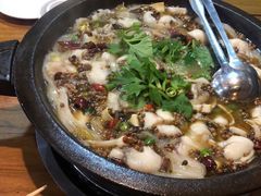 -都江堰石锅鱼
