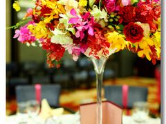 呆牛影像0499-北京西单美爵酒店