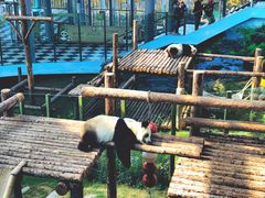 -大连森林动物园