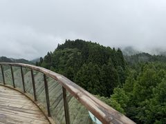 -山王坪喀斯特国家生态公园
