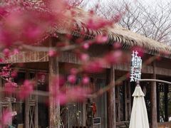 -苏州上方山国家森林公园