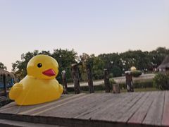 -北京世界公园
