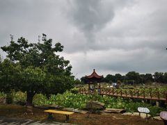 -桔子酒店(北京中关村软件园店)