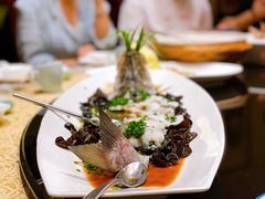 -十八棵（老龙井）御茶园(老龙井店)