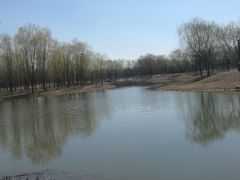-东郊湿地公园