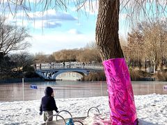 -大兴滨河森林公园