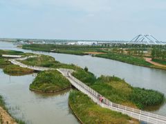 -春花秋色城市公园